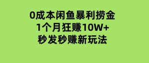 0成本闲鱼暴利捞金，1个月狂赚10W+，秒发秒赚新玩法-财仔梦想资源网