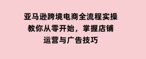 亚马逊跨境电商全流程实操，教你从零开始，掌握店铺运营与广告技巧-财仔梦想资源网