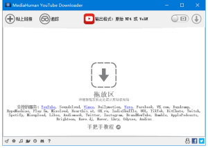 MediaHumanYouTubeDownloaderv3.9.9.97(1501)多语便携版-财仔梦想资源网