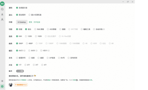 Bilidown(B站视频下载工具)v1.2.4中文绿色版-财仔梦想资源网
