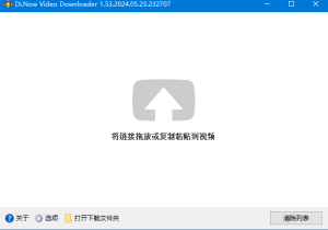 DLNowVideoDownloaderv1.54.2024.10.12多语便携版-财仔梦想资源网