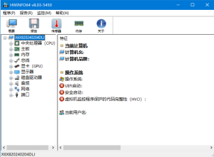 HWiNFO(专业系统信息检测工具)v8.12.5555中文绿色版-财仔梦想资源网