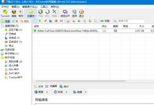 比特彗星BitComet2.09(BT下载工具)绿色版-财仔梦想资源网