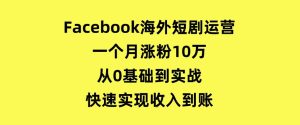 Facebook海外短剧运营：一个月涨粉10万，从0基础到实战，快速实现收入到账-财仔梦想资源网
