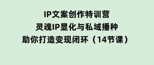 IP文案创作特训营，灵魂IP显化与私域播种，助你打造变现闭环（14节课）-财仔梦想资源网