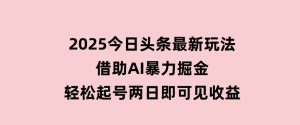 2025今日头条最新玩法，借助AI暴力掘金，轻松起号，两日即可见收益-财仔梦想资源网