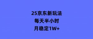 25京东新玩法，每天半小时，月稳定1W+-财仔梦想资源网