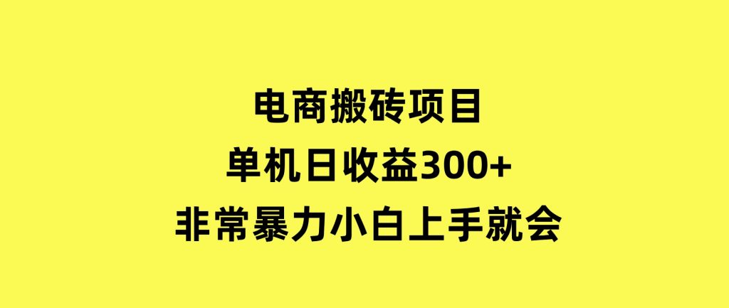电商搬砖项目，单机日收益300+，非常暴力，小白上手就会-财仔梦想资源网