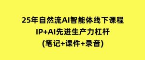 25年自然流AI智能体线下课程，IP+AI先进生产力杠杆(笔记+课件+录音)-财仔梦想资源网