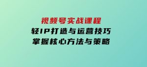 视频号实战课程，轻IP打造与运营技巧，掌握核心方法与策略-财仔梦想资源网