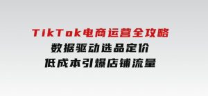 TikTok电商运营全攻略，数据驱动选品定价，低成本引爆店铺流量-财仔梦想资源网