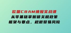 欧盟CBAM填报实战课，从零基础掌握碳关税政策框架与要点，规避贸易风险-财仔梦想资源网