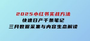 2025小红书实战方法，快速日产千条笔记，三月数据采集与内容生态解读-财仔梦想资源网