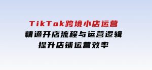 TikTok跨境小店运营，精通开店流程与运营逻辑，提升店铺运营效率-财仔梦想资源网