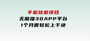 手机挂机项目+零撸30个APP平台广告金币，一个月很轻松大几千-财仔梦想资源网