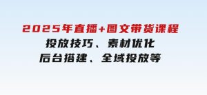 2025年直播+图文带货课程，投放技巧、素材优化、后台搭建、全域投放等-财仔梦想资源网
