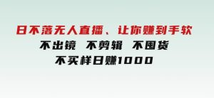 日不落无人直播、让你赚到手软，不出镜不剪辑不囤货不买样日赚1000-财仔梦想资源网