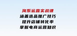 淘系运营实战课，涵盖选品推广技巧，提升店铺转化率，掌握电商运营知识-财仔梦想资源网
