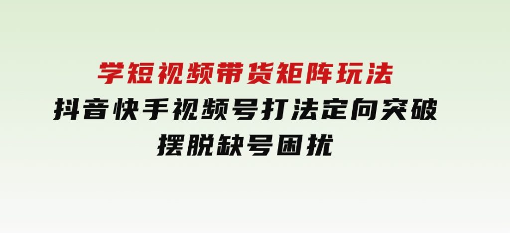 线下课：学短视频带货矩阵玩法抖音快手视频号打法定向突破，摆脱缺号困扰-财仔梦想资源网
