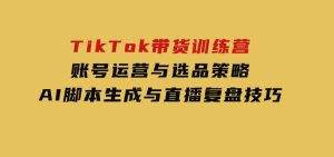 TikTok带货训练营，账号运营与选品策略，AI脚本生成与直播复盘技巧-财仔梦想资源网