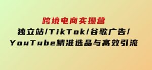 跨境电商实操营：独立站/TikTok/谷歌广告/YouTube，精准选品与高效引流-财仔梦想资源网