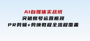 AI自媒体实战班，突破账号运营瓶颈，PR剪辑+剪映教程全流程覆盖-财仔梦想资源网