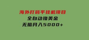 海外打码平挂机项目，全自动撸美金，无脑月入5000+-财仔梦想资源网