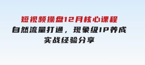 短视频操盘12月核心课程：自然流量打通，现象级IP养成，实战经验分享-财仔梦想资源网