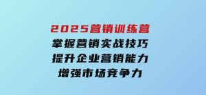 2025营销训练营，掌握营销实战技巧，提升企业营销能力，增强市场竞争力-财仔梦想资源网