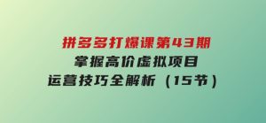 拼多多打爆课第43期，掌握高价虚拟项目，运营技巧全解析（15节）-财仔梦想资源网