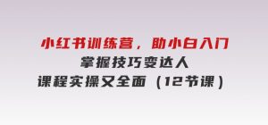 小红书训练营，助小白入门，掌握技巧变达人，课程实操又全面（12节课）-财仔梦想资源网
