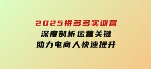 2025拼多多实训营：深度剖析运营关键，助力电商人快速提升-财仔梦想资源网