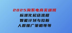 2025淘系电商实训班：标准化起店流程，智能计划与拉新，人群推广策略等等-财仔梦想资源网