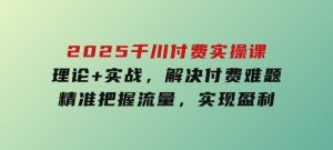 2025千川付费实操课，理论+实战，解决付费难题，精准把握流量，实现盈利-财仔梦想资源网