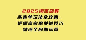 2025淘宝店群高客单玩法全攻略，把握高客单关键技巧，精通全周期运营-财仔梦想资源网