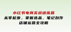 小红书电商实战训练营，从零起步，掌握选品、笔记创作、店铺运营全攻略-财仔梦想资源网