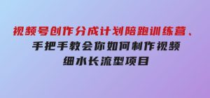 视频号创作分成计划陪跑训练营，手把手教会你如何制作视频，细水长流型项目-财仔梦想资源网