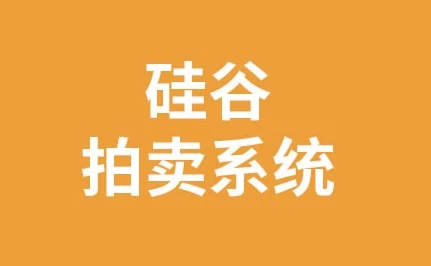 区块链项目：硅谷拍卖系统–带源码课件-财仔梦想资源网