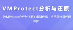 VMProtect分析与还原–带源码课件-财仔梦想资源网