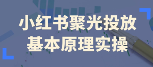 小红书聚光投放基本原理实操-财仔梦想资源网