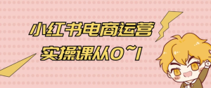 小红书电商运营实操课从0~1-财仔梦想资源网