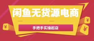 闲鱼无货源电商手把手实操起店-财仔梦想资源网