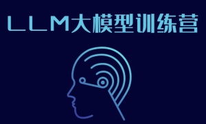 LLM大模型训练营-财仔梦想资源网