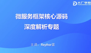 微服务框架核心源码深度解析-财仔梦想资源网