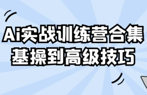 Ai实战训练营合集基操到高级技巧-财仔梦想资源网