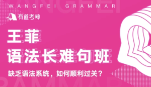 王菲语法长难句班-财仔梦想资源网