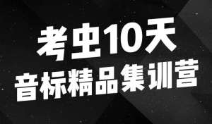 10天音标精品集训营-财仔梦想资源网