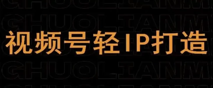 视频号线上课程，视频号轻IP打造-财仔梦想资源网