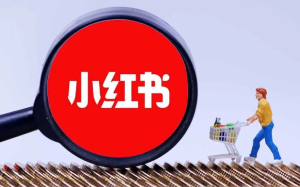 电商实操课，小红书电商全流程-财仔梦想资源网