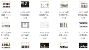TikTok跨境短视频零基础到精通网赚变现课-财仔梦想资源网